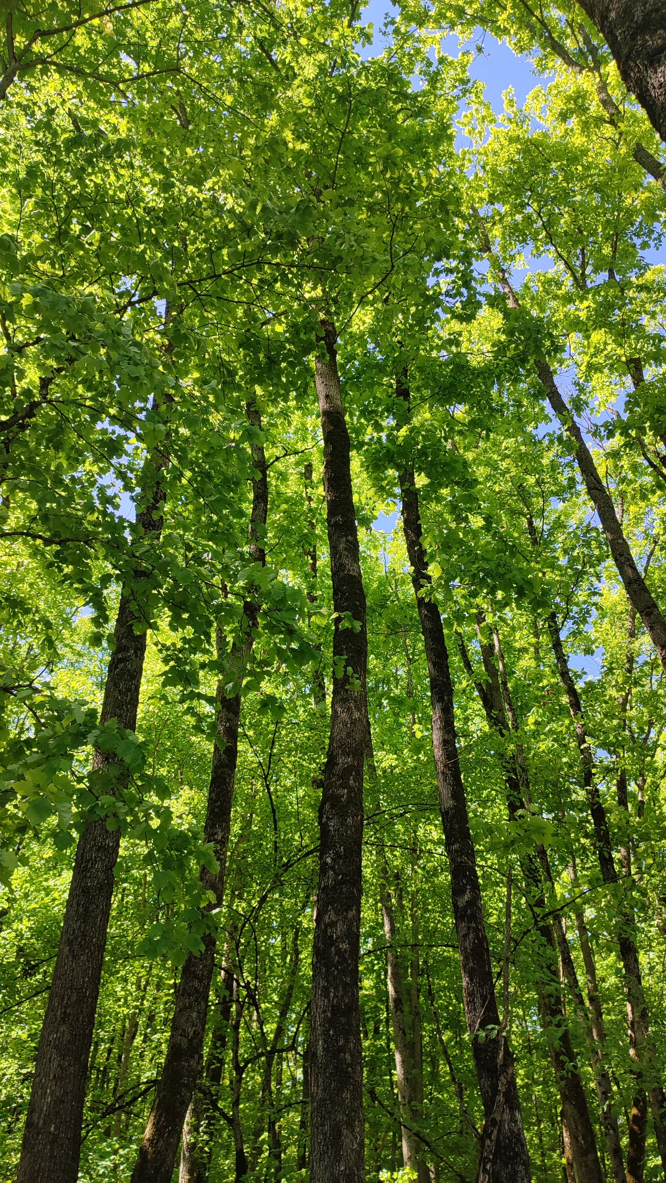 Отдых в барнхаусе с бассейном и джакузи