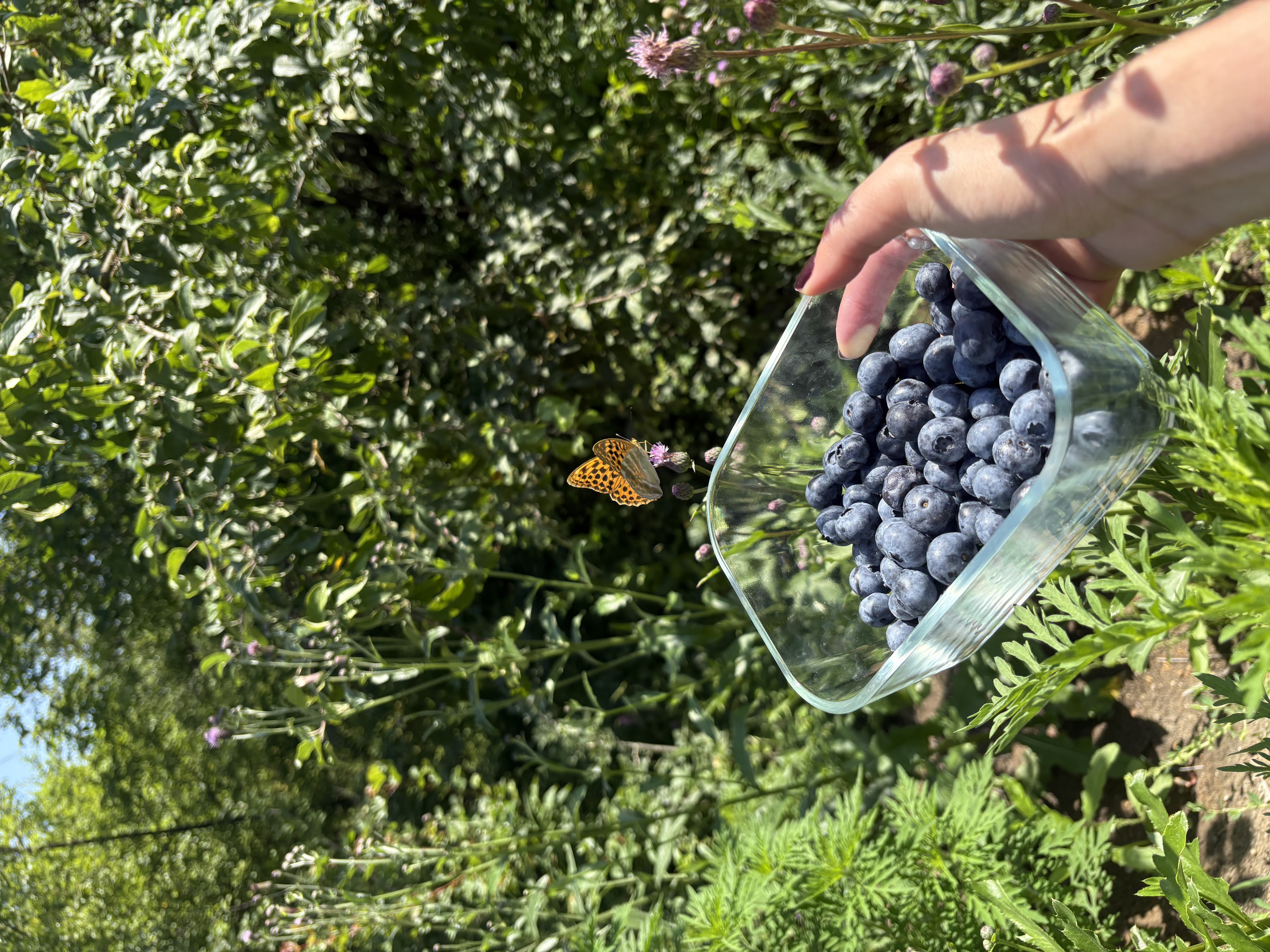 Отдых в барнхаусе с бассейном и джакузи