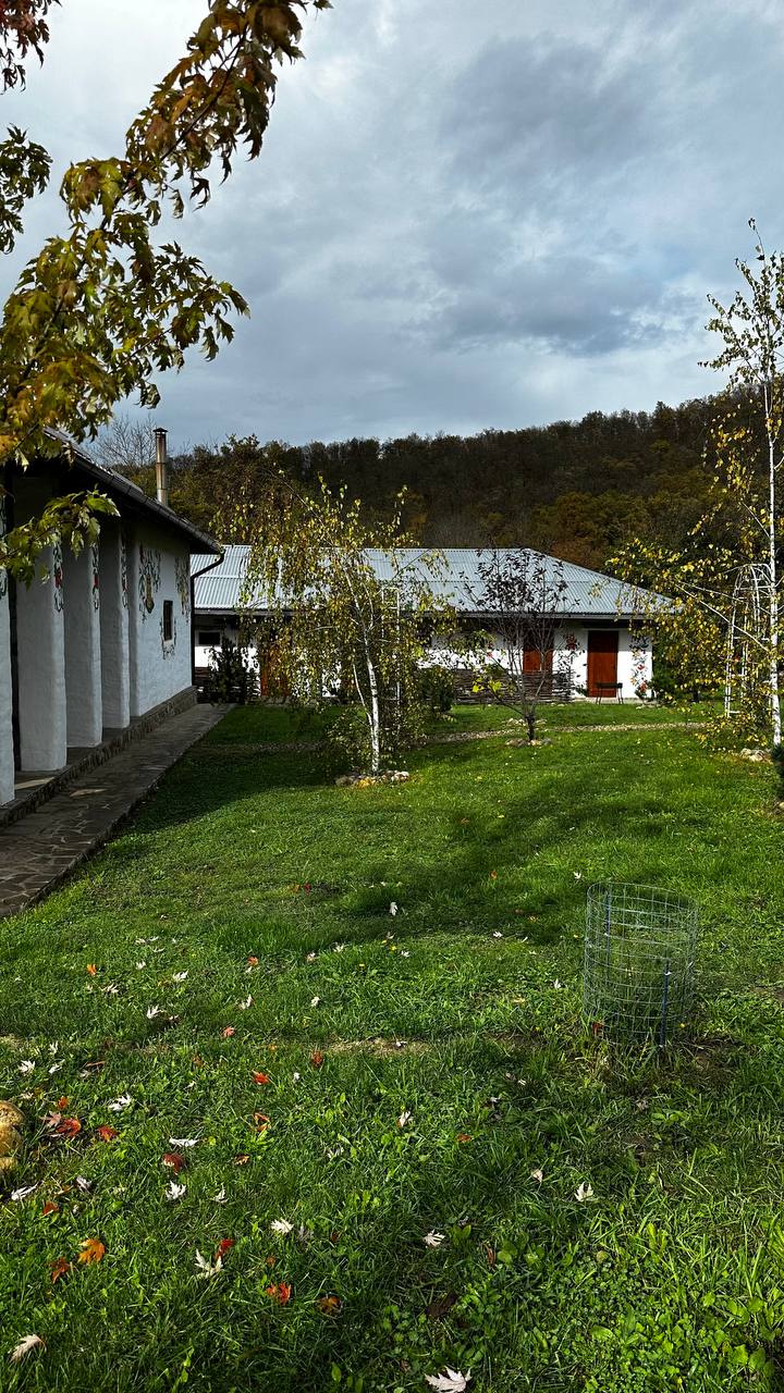 Отдых в эко-домике в горах