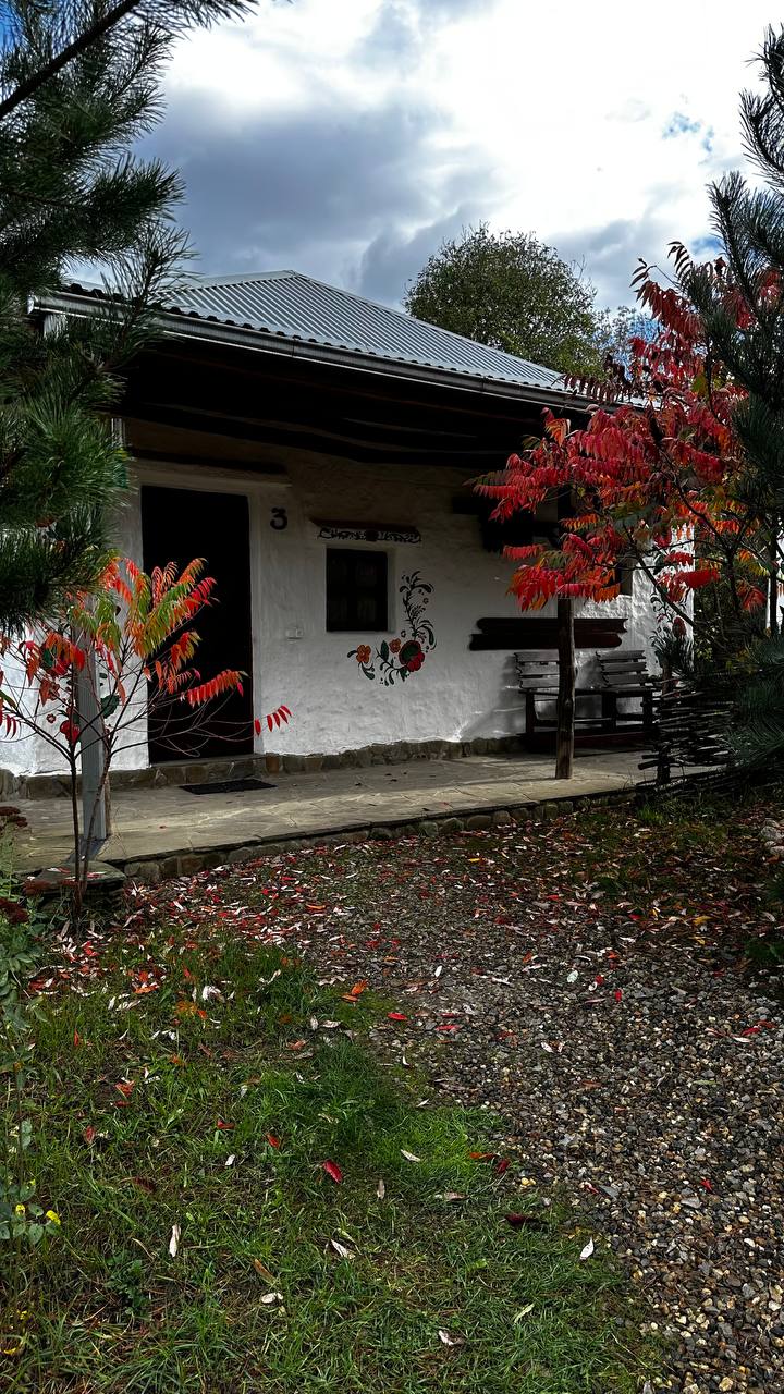 Отдых в эко-домике в горах