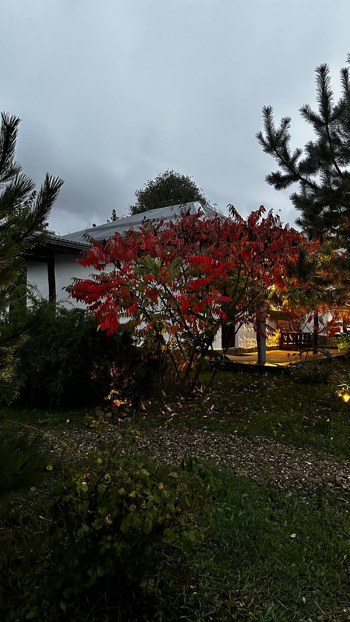 Отдых в эко-домике в горах