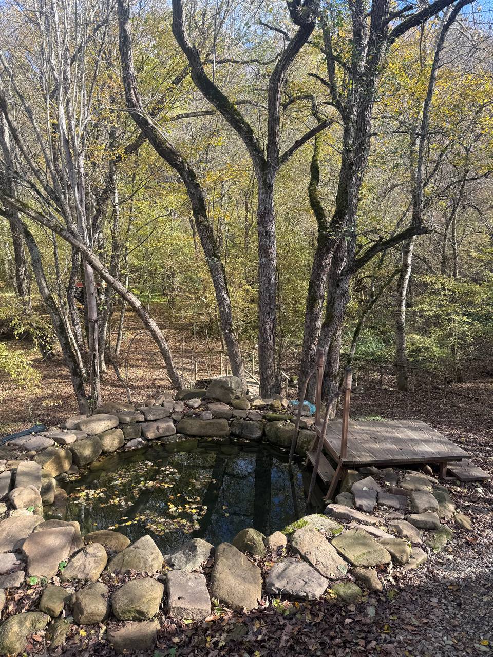 Отдых в номере в гостевом доме в горах