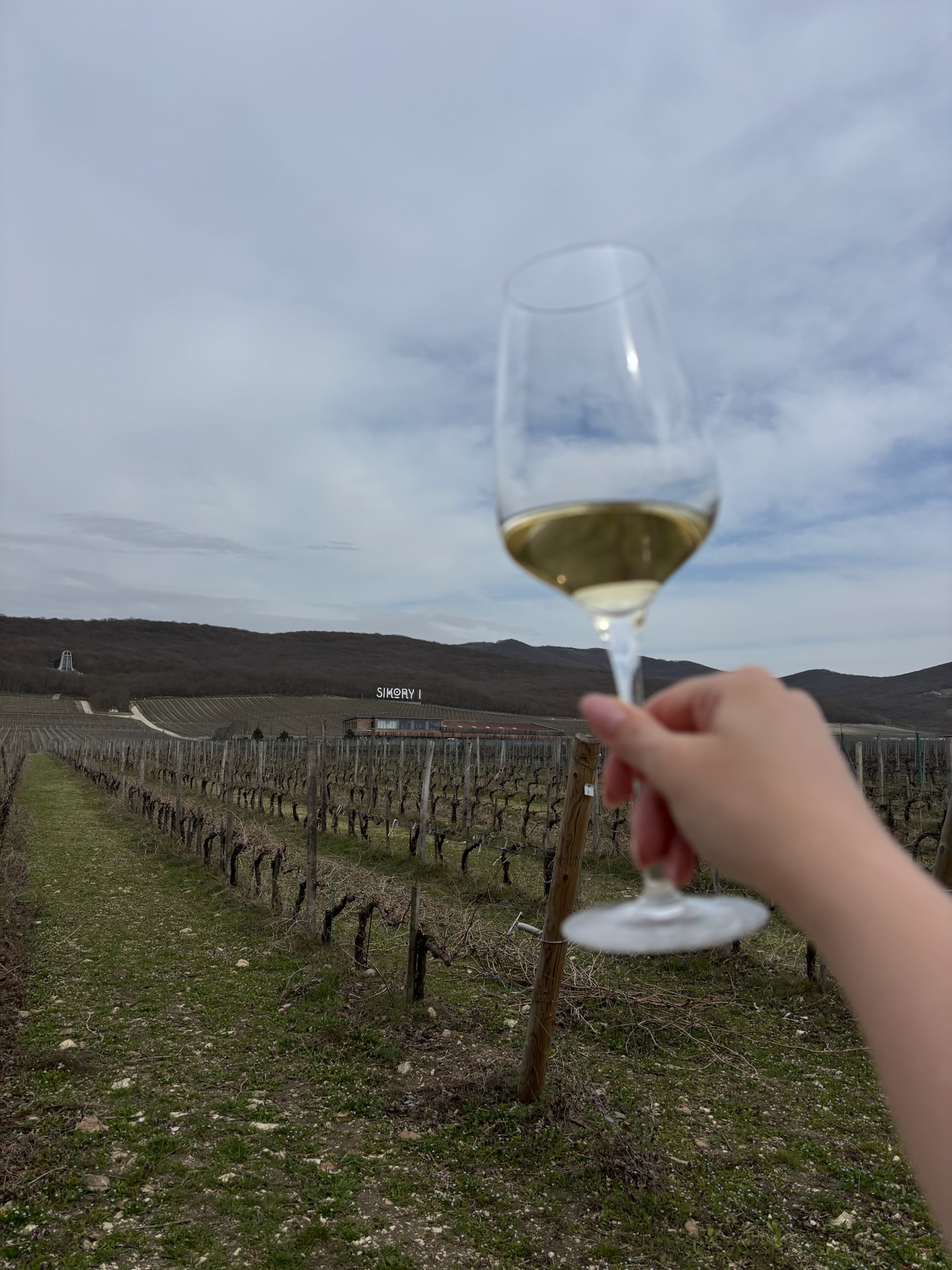 Индивидуальная дегустация вин