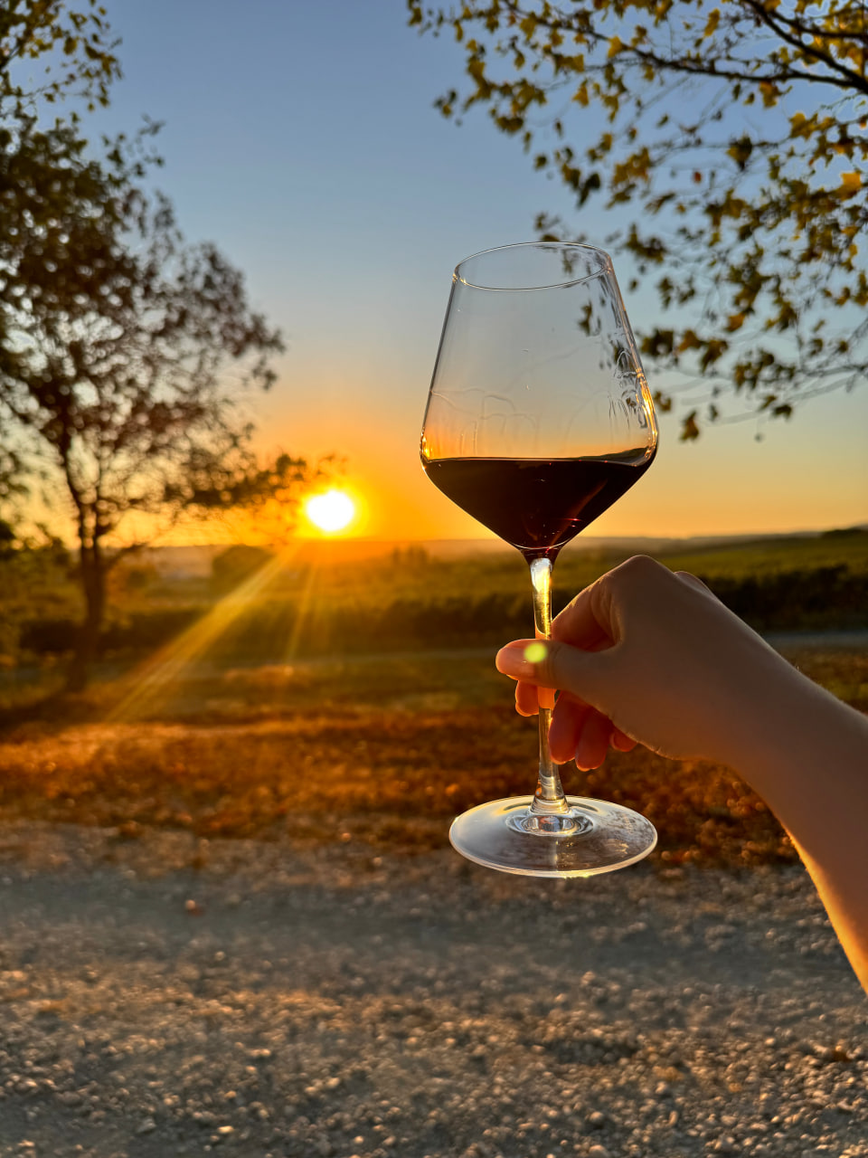 Мастер-класс по сабражу с дегустацией вин