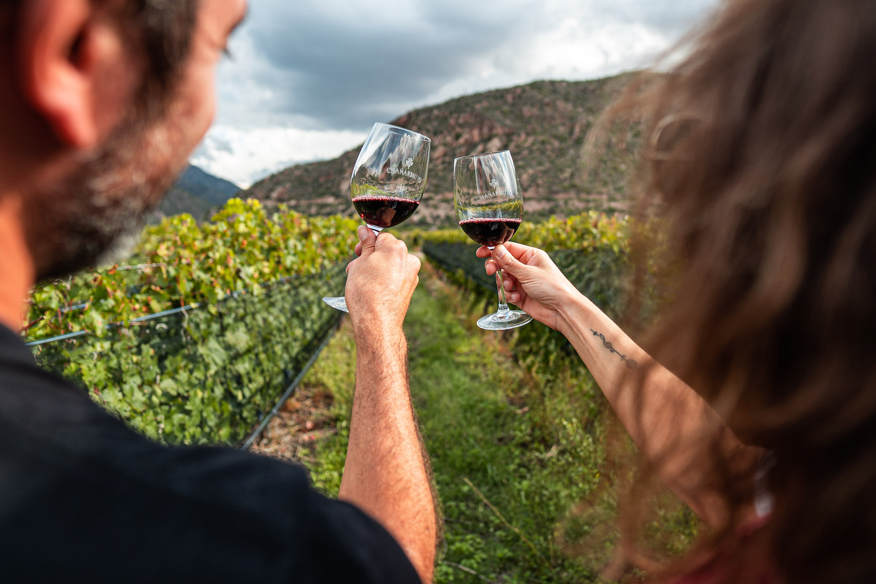 Свидание: винная дегустация